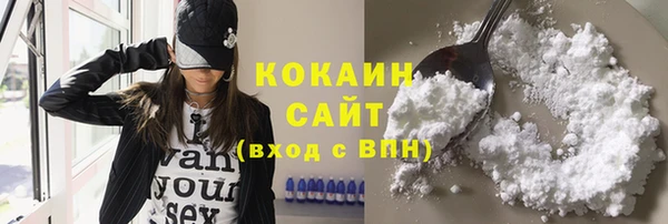 стафф Аркадак