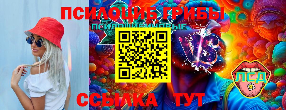 Псилоцибиновые грибы прущие грибы  где продают наркотики  Лабинск  Вход с VPN 